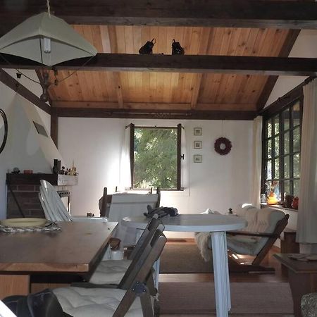 Modrzewiowy Domek Letniskowy - Stare Czaple Brodnica  Bagian luar foto