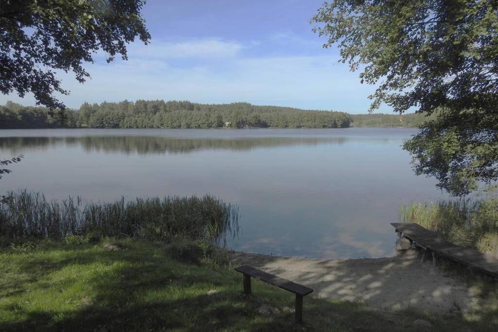 Modrzewiowy Domek Letniskowy - Stare Czaple Brodnica  Bagian luar foto