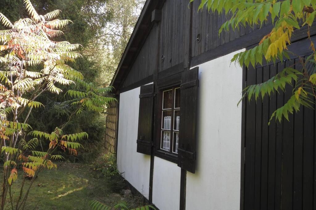 Modrzewiowy Domek Letniskowy - Stare Czaple Brodnica  Bagian luar foto