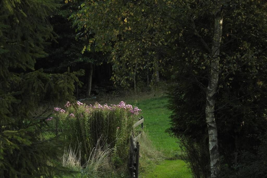 Modrzewiowy Domek Letniskowy - Stare Czaple Brodnica  Bagian luar foto