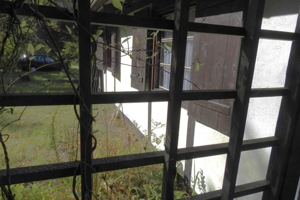 Modrzewiowy Domek Letniskowy - Stare Czaple Brodnica  Bagian luar foto